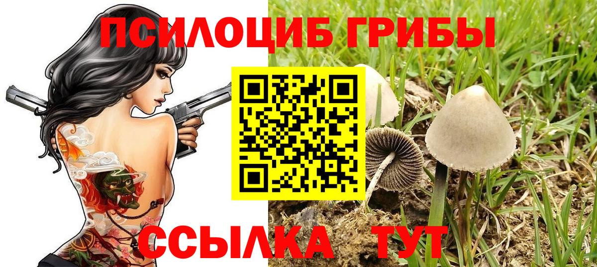 Псилоцибиновые грибы MAGIC MUSHROOMS Выборг