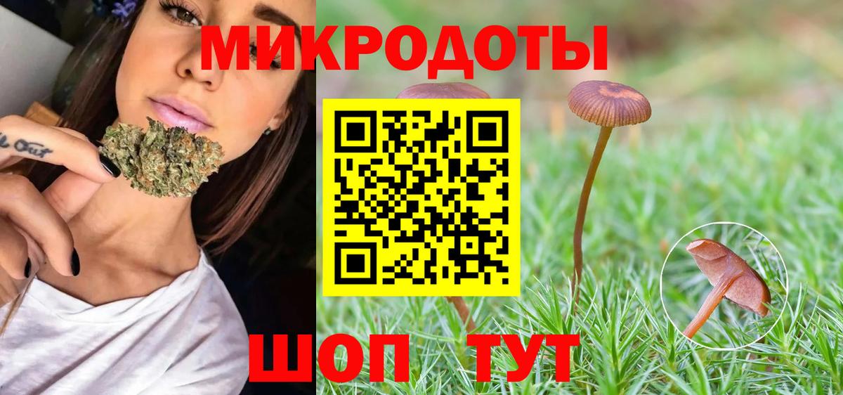 Выборг  Галлюциногенные грибы Magic Shrooms  дарнет шоп  Вход с VPN  Псилоцибиновые грибы мухоморы 